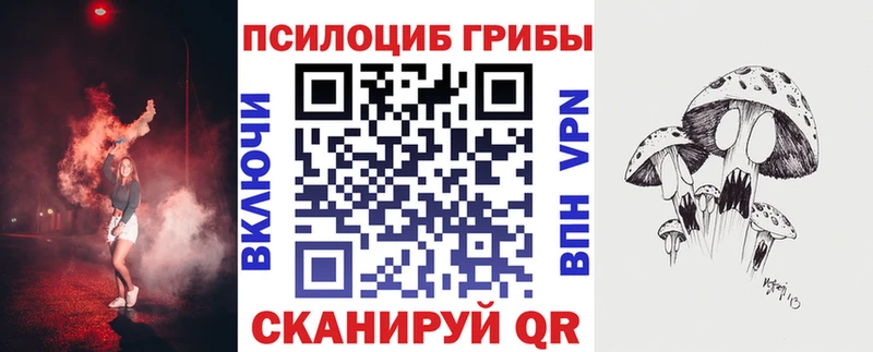 Галлюциногенные грибы Psilocybine cubensis  Купить  Красноармейск 